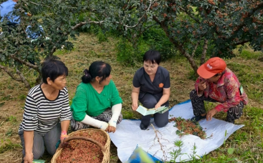 法院干警深入轄區(qū)農(nóng)田向農(nóng)戶宣講農(nóng)業(yè)生產(chǎn)相關(guān)法律知識